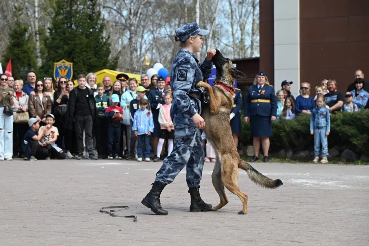 Фото В Новосибирске показали, как работают кинологи и их собаки в региональном ГУФСИН 3
